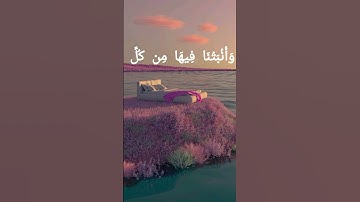 قرآن بصوت الشيخ هزاع البلوشي #قرآن #اكسبلور #تلاوة_خاشعة #هزاع_البلوشي #تيك_توك