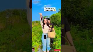 Download Lagu BESAR TAPI BENGKOK 😅 #difarinaindra #dangdut #shorts MP3 Download Lagu BESAR TAPI BENGKOK 😅 #difarinaindra #dangdut #shorts MP3