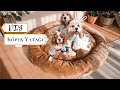 DIY PELUŞ PET YATAĞI | Kedi/Köpek Yatağı Yapımı