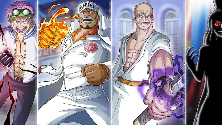 L’ORGANISATION COMPLÈTE DU GOUVERNEMENT MONDIAL EXPLIQUÉE | ONE PIECE