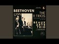 Miniature de la vidéo de la chanson Trio For Piano, Violin, And Cello No. 7 In B-Flat Major, Op. 97 "Archduke": Ii. Scherzo. Allegro