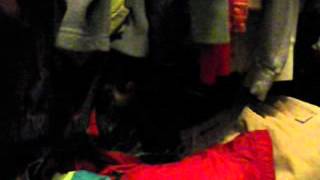 Funny Dauchsund With Can