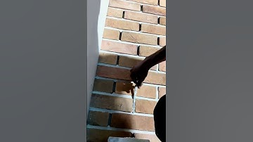 “Perfect lines, perfect finish 👌🧱” #brickwork #bricktobeauty