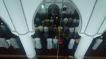 رضا ذهبي ماتيسر من سورة يوسف قراءة جميلة