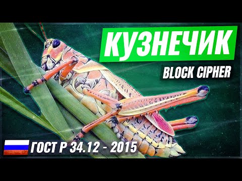 The Kuznyechik Block Cipher