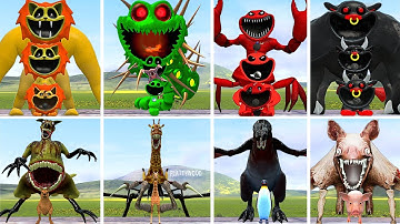 All NEW FORGOTTEN SMILING CRITTERS POPPY PLAYTIME CHAPTER 3 VS  All ZOOCHOSIS ANIMALS In Garry