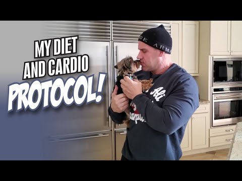 my-diet-and-cardio-protocol!