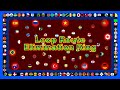 Loop Route Elimination Ring ~200 countries marble race~ in Algodoo | Marble Factory