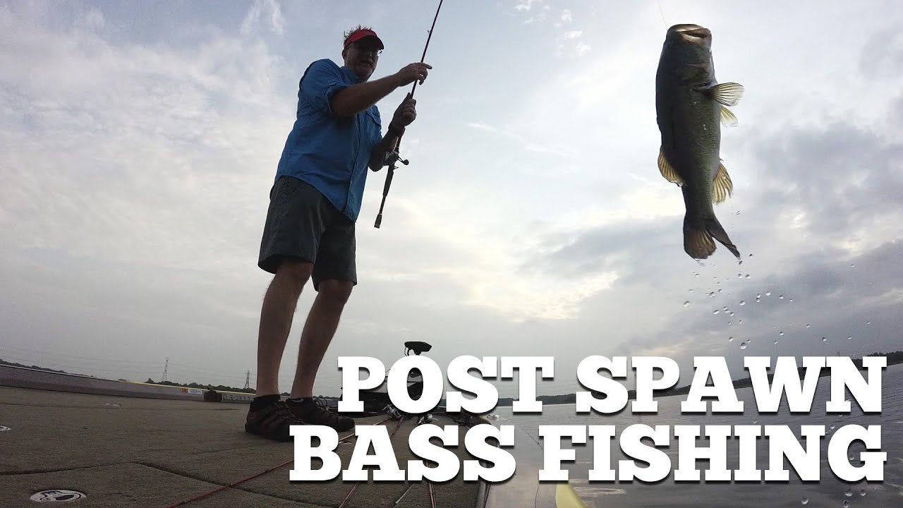 The Best Ways to Target Post Spawn Bass 