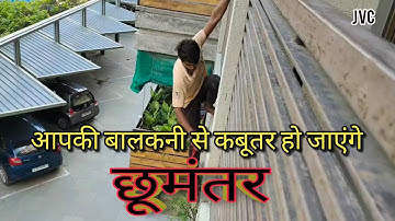 bird net fitting || pigeon net || jayveer techno tips