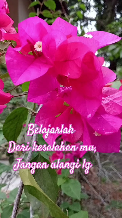 belajar lah dari kesalahan mu, jangan ulangi hal yang sama