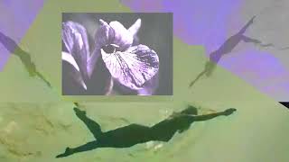 Annie Digital Core Studio Video Remix