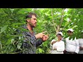 Coringa Agrofloresta - curso com o Prof. Juã Pereira, Março 2020 - Renovação de Sistema de 4 anos