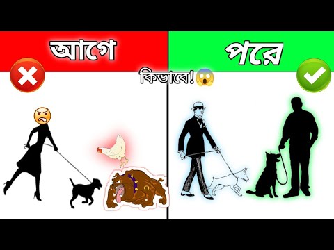 ভিডিও: একটি Cockatoo খাঁচা চয়ন করার 3 উপায়