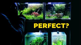 Detailed The Perfect Size Aquarium? (Beginner or Limited Space) Details