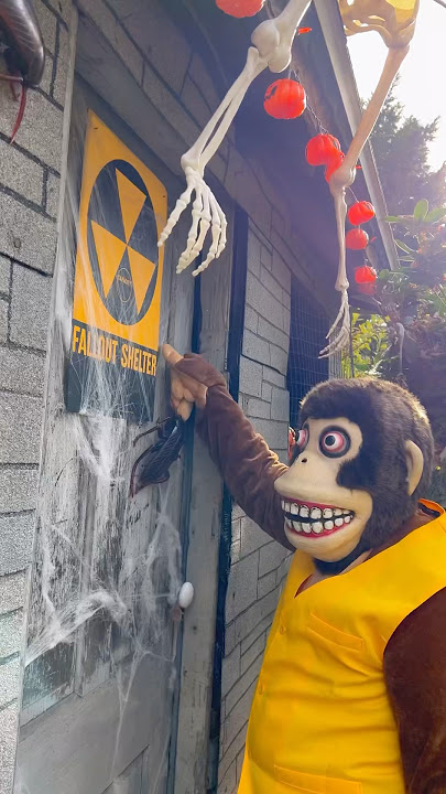 Download lagu Creepy Fallout Monkey Lost His Head on Halloween!