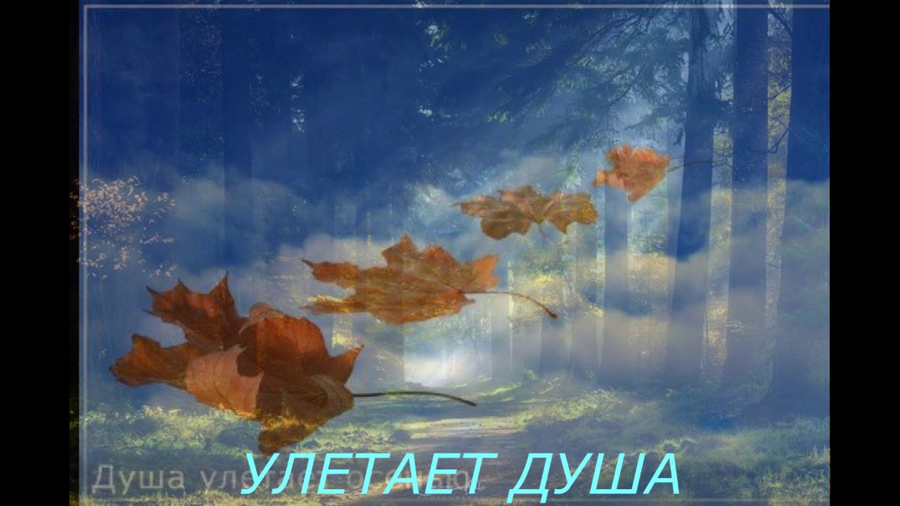 Улетаем в небеса песня слушать. Улетают души улетают. Улетают души стихотворение. Улетают души улетают стихотворение. Улетают души улетают стихотворение Автор.