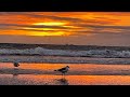 Beach Metal detecting with a mine lab 600