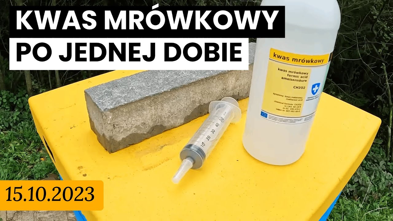15.10.2023 [ UL-1 ] Jak działa kwas mrówkowy po jednej dobie? Osyp warrozy na wkładkach dennicowych.