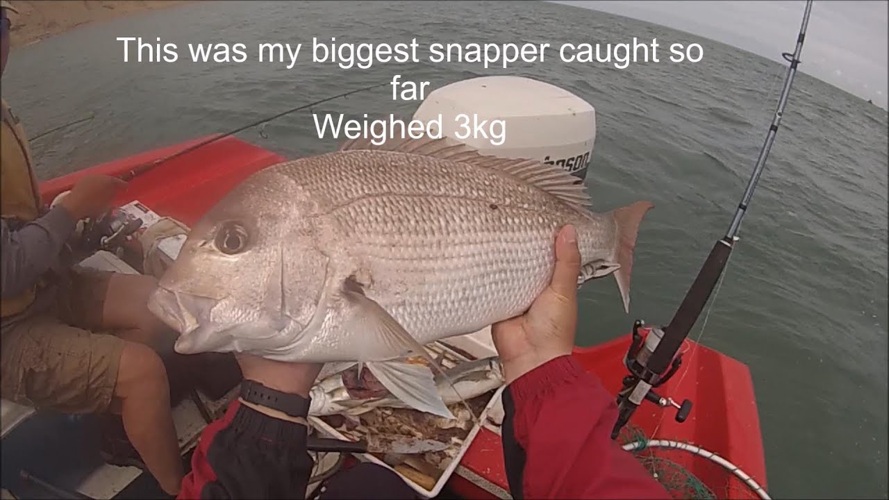 NZ Basic fishing Manukau Harbour Part 2 Finally got something good