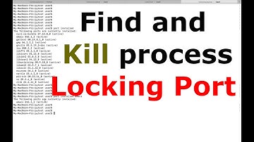 Find and Kill process locking port 9200 on Mac OS X macOS
