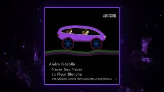 Andre Gazolla - Never Say Never (Antônio Farhy Remix) [aboriginal]