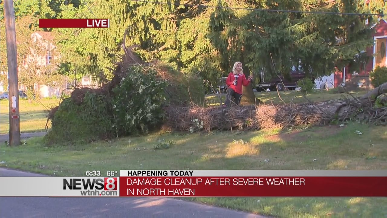 Storm damage cleanup continues - YouTube