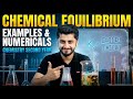Examples and Numericals | Chemical Equilibrium | chemistry second year