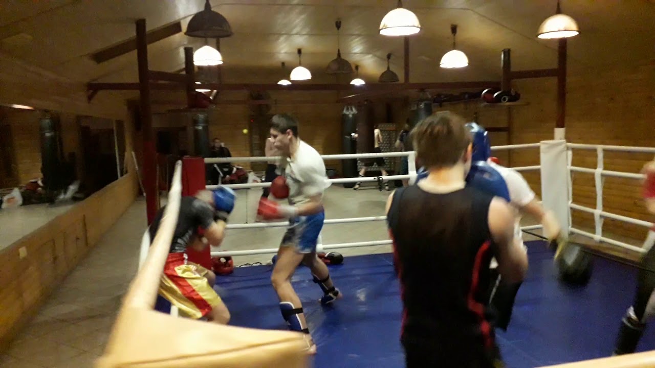 ������������ ������ ������: ����.