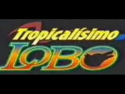 YouTube पर Tropicalisimo Lobo - Soledad देखें