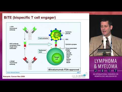 Video: Immune Checkpoint-blokkade En CAR-T-celtherapie Bij Hematologische Maligniteiten