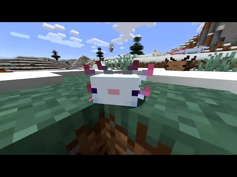 All Axolotl Colors in NEW Minecraft Caves and Cliffs update - YouTube