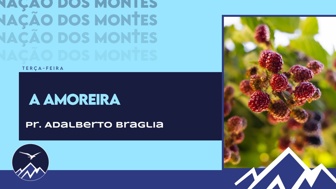 🔴a Amoreira. | Pr. Adalberto Braglia | 07/04/2026