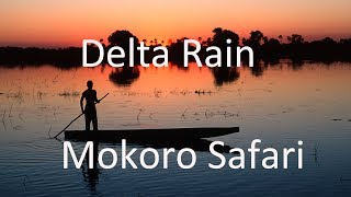 Travel Documentary.Delta Rain Mokoro Safari into the Okavango Delta, Botswana