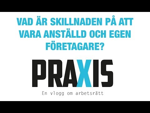 Video: Skillnaden Mellan Egenföretagare Och Anställda