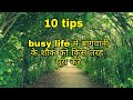 10 tipshow to do gardening work in busy life hindi urduvijaya s creative garden