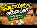 ఇంకో సంప్రదాయ ఆటతో వచ్చేశాను!రండి కచ్చ కాయలు ఆడుదాం. మన చిన్ననాటి మధుర జ్ఞాపకాలను గుర్తు చేసుకుందాం