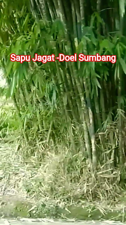 Sapu Jagat Doel-Sumbang