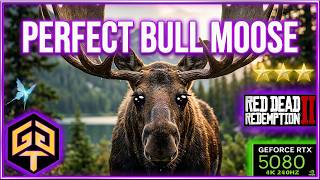 RDR2 Perfect Bull Moose Best 3 Star Spawn Location Hunting to Buy All Trapper Garment Clothing Sets screenshot 1