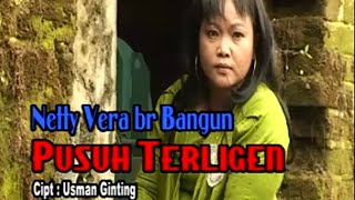 Pusuh Terligen - Netty Vera Bangun | Lagu Karo Terbaru [Official Music Video]