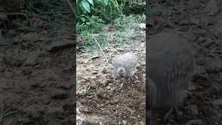 Https:youtu.be/Gdjd1Ryp2Q0?Si=Cbl6Lgosov1Hbnzu Resimi