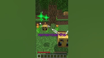 Is flower forest one of the most forgotten biomes?