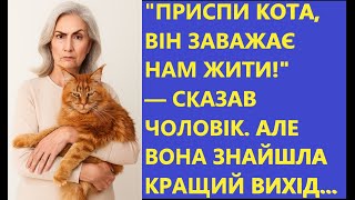 картинка: 