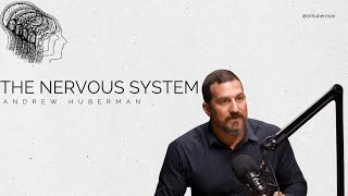 Neurologist Andrew Huberman on the Nervous System