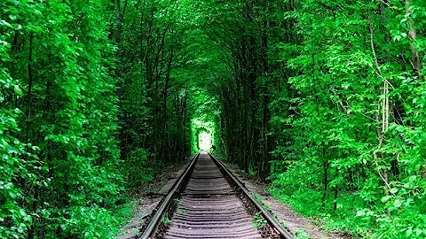 Tunnel of LOVE (Klevan, Ukraine)