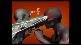 Human weapon All in One