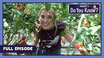 Compost and Plants | Maddie