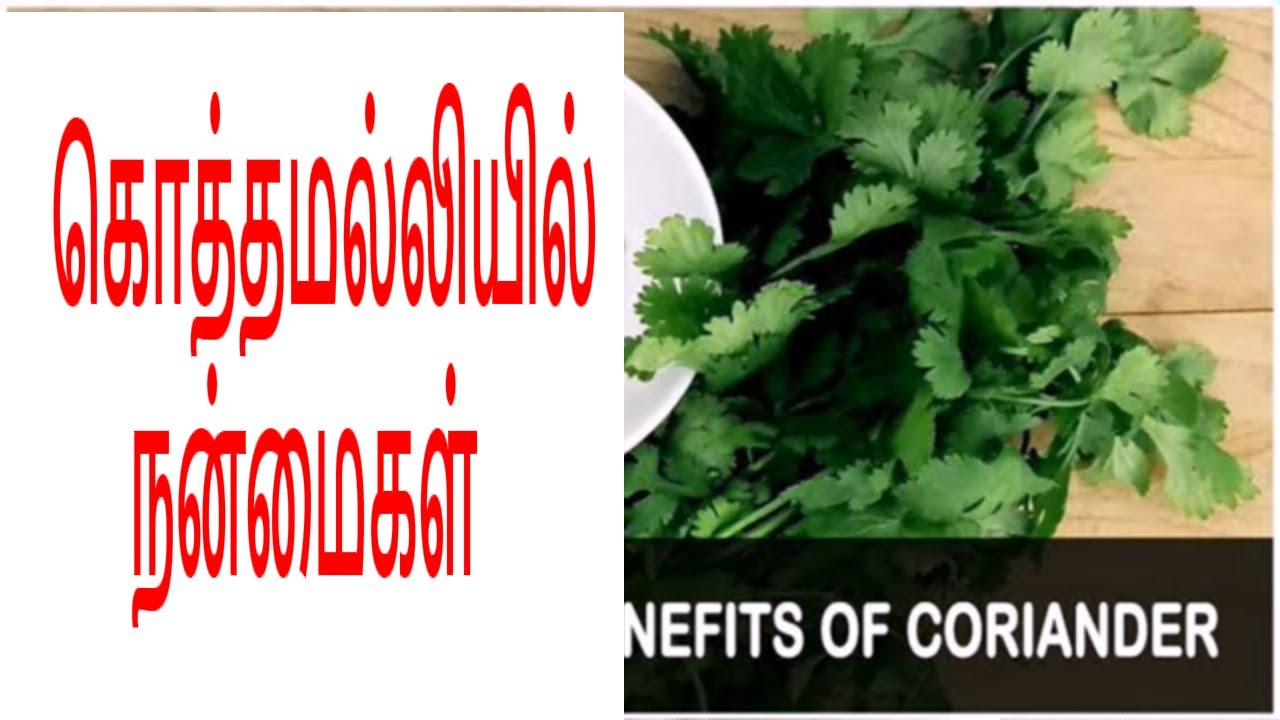 Health Tips In Tamil YouTube health-tips-in-tamil-youtube