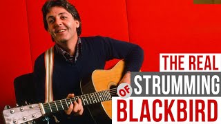 The REAL Fingerpicking Strumming of Blackbird Guitar Lesson - Galeazzo Frudua