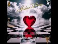 Modern talking  youre my heart youre my soul ai part ii album max mix cover modern heroes